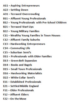 Franchise tips, An example customer classification by demographic group