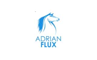 adrian flux, location planning, customer targeting, analytics